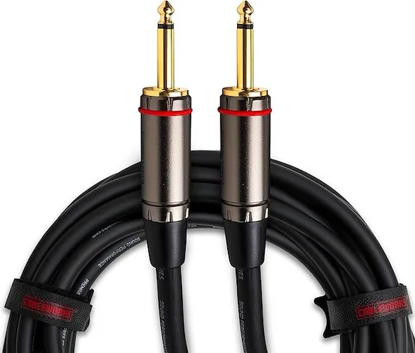 10 Foot TS Speaker Cable - Headliner