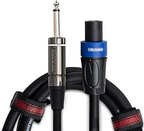 10 Foot TS to Twist Lock Connector Speaker Cable