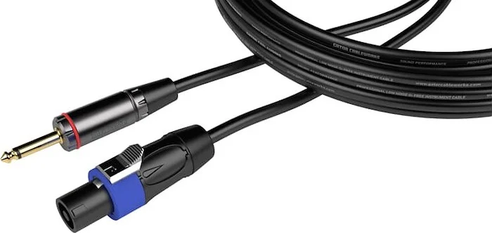 10 Foot TS to Twist Lock Connector Speaker Cable