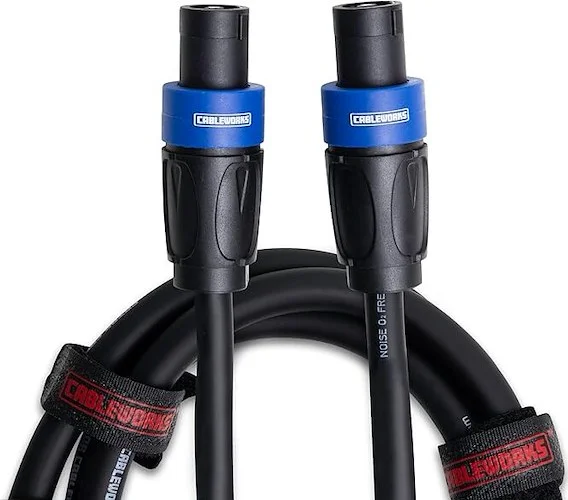 10 Foot Twist Lock Connector Speaker Cable