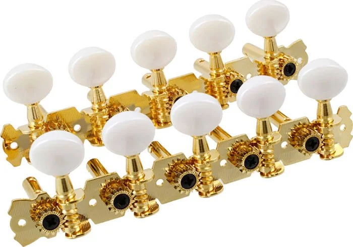 10 String 5x5 Strip Tuners for Cuatro or Bajo Quinto, Gold<br>