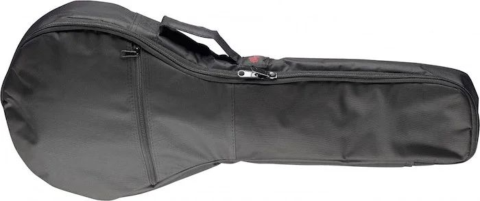 Basic padded nylon bag for mandolin