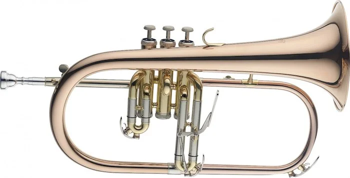 Bb Flugelhorn, Goldbrass instrument