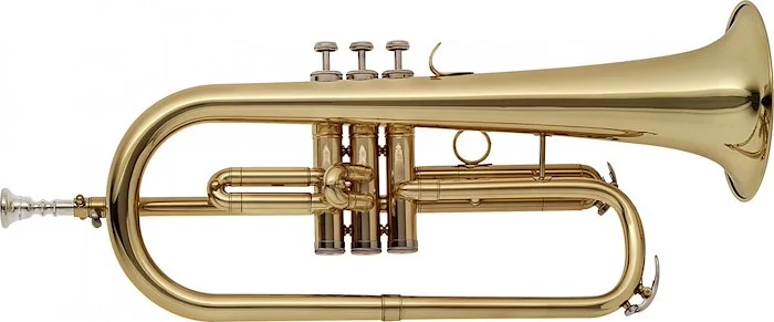 Bb flugelhorn with brass body, M-bore and soft case