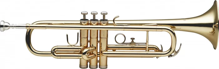 Bb Trumpet, w/ABS case
