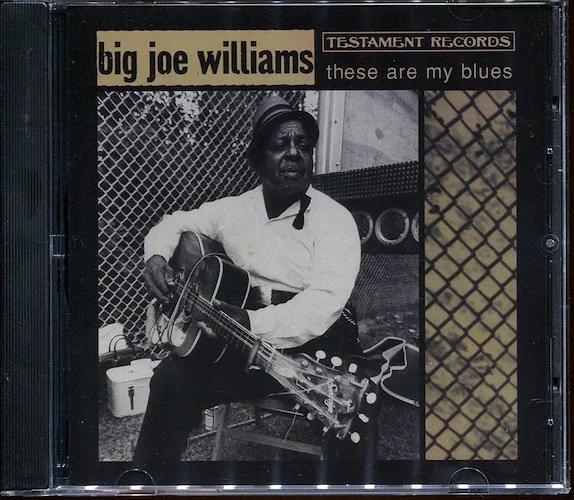 Big Joe Williams - These Are My Blues (marked/ltd stock)