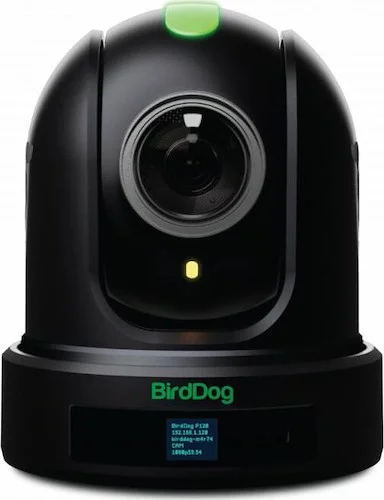 BirdDog P110. 1080P PTZ Camera