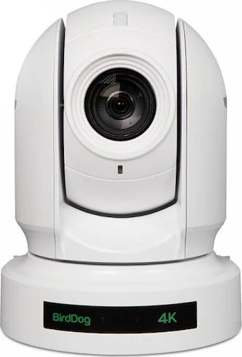 BirdDog P400 White. 4K 10-Bit