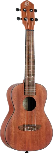 Bonfire Series Concert Ukulele