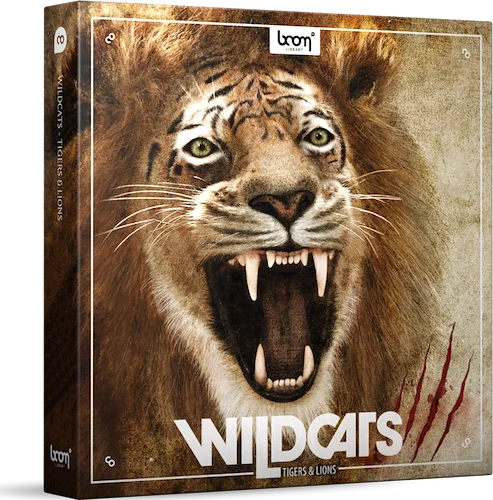 Boom Wildcats (Download) <br>Unleashed feline fury – roaring through your speakers