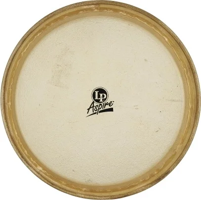 CONGA REPL.HEAD  11  RAWHIDE