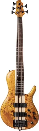 Cort A5PLUSSCAOP Artisan Series A5 Plus SC Bass Guitar. Amber Open Pore