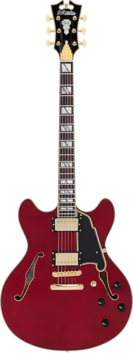 D'Angelico Excel DC Semi-hollowbody Electric Guitar - Trans Cherry