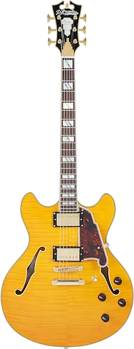 D'Angelico Excel DC Semi-hollowbody Electric Guitar - Vintage Natural