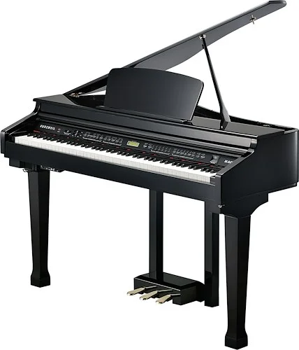 (EA) Digital Piano Grand type Ebony Polish - 2 Box           Image