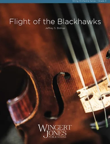 Flight of the Blackhawks