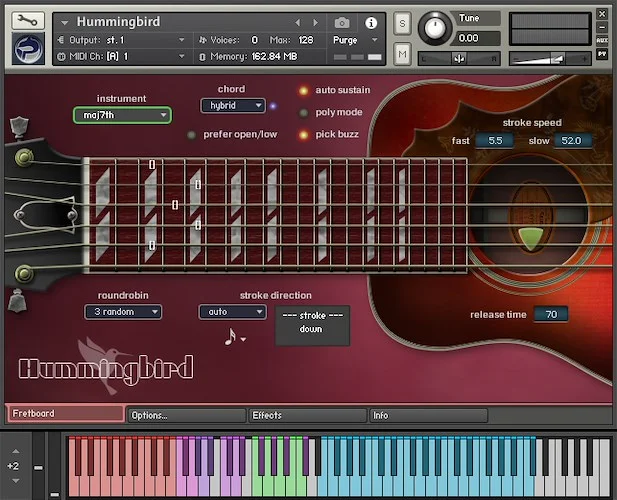 Hummingbird Acoustic Guitar (Download) <br>