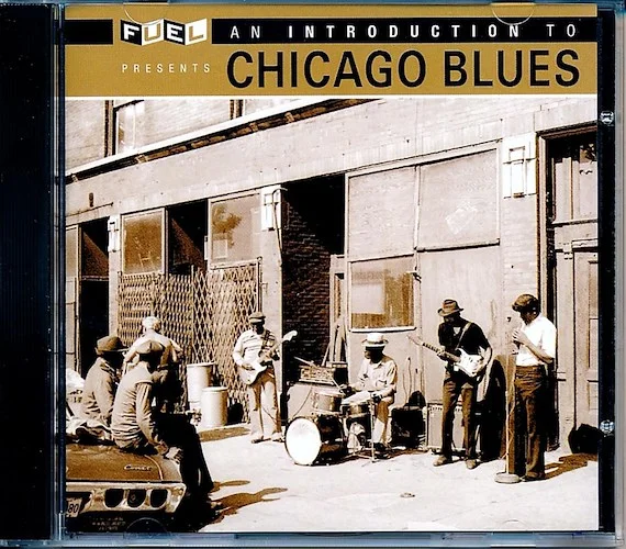 JB Lenoir, Elmore James, Muddy Waters, Big Joe Williams, Etc. - An Introduction To Chicago Blues (24-bit mastering) (remastered)