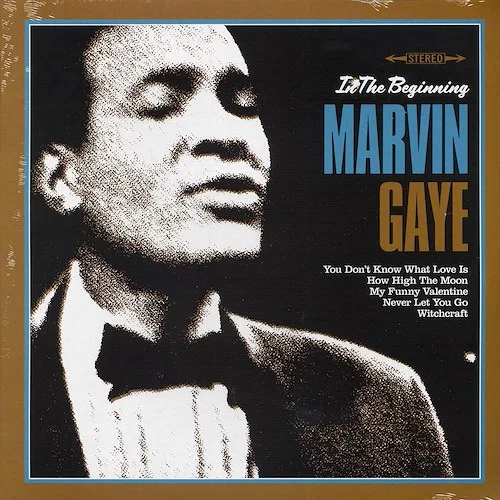 Marvin Gaye - In The Beginning