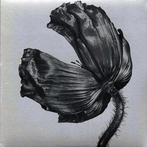 Pet Shop Boys - Release (180g) (remastered)