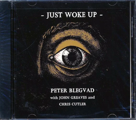 Peter Blegvad - Just Woke Up