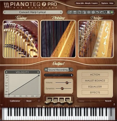 Pianoteq Harps (Download) <br>Vibrant collection of Harp Sounds