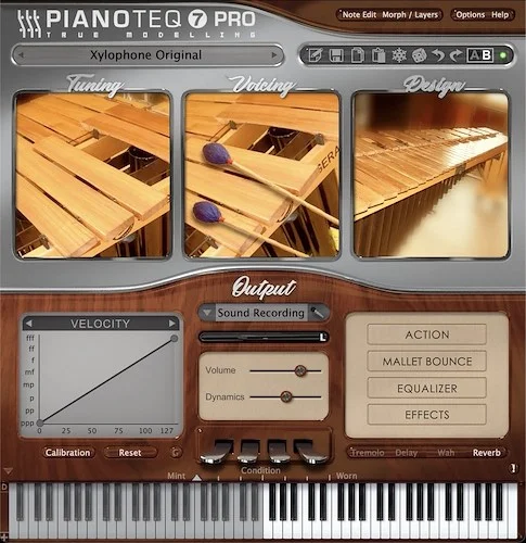 Pianoteq Steel Pans Add-On (Download) <br>This pack includes four instruments: Steel Drum, Spacedrum, Hand Pan, Tank Drum.