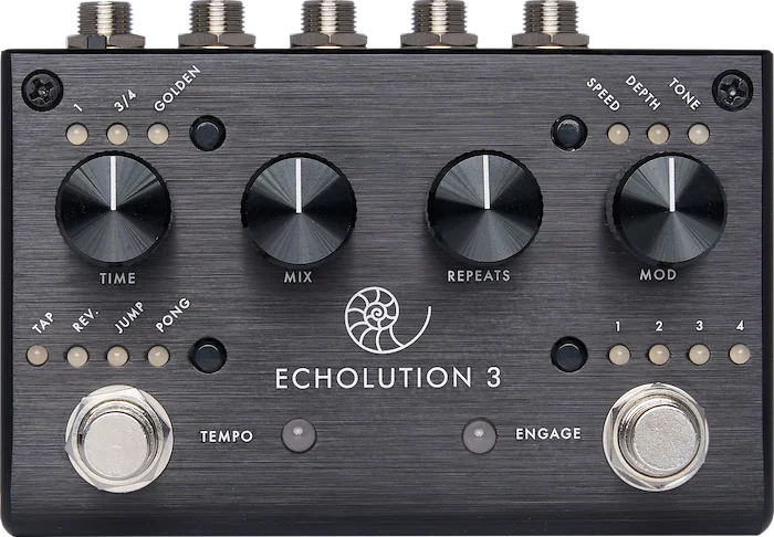 Pigtronix Echolution 3 Looper Pedal