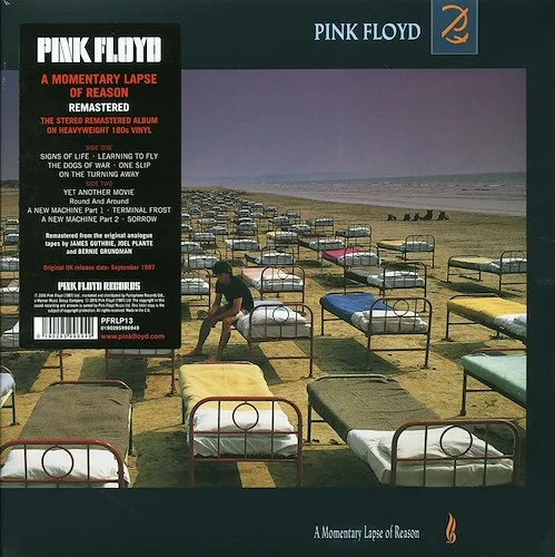 Pink Floyd - A Momentary Lapse Of Reason (180g)