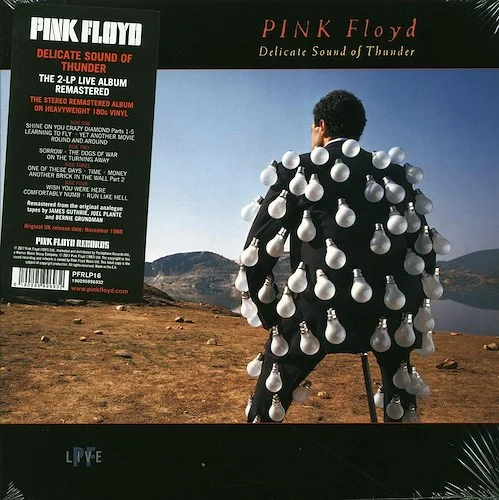 Pink Floyd - Delicate Sound Of Thunder (stereo) (2xLP) (180g) (remastered)