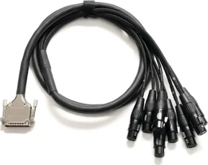 Premier 10 ft. DB25-XLRf Cable