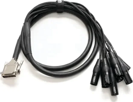 Premier 10 ft. DB25-XLRm Cable