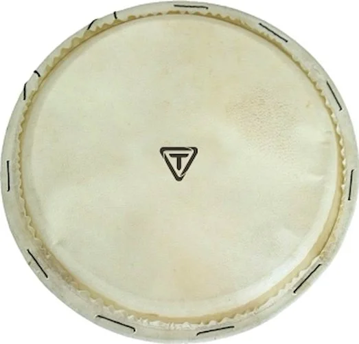 Replacement Goatskin Djembe Head - 12 inch.