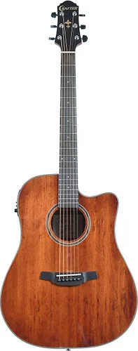 Silver series 250, dreadnought acoustic-electric guitar with cutaway