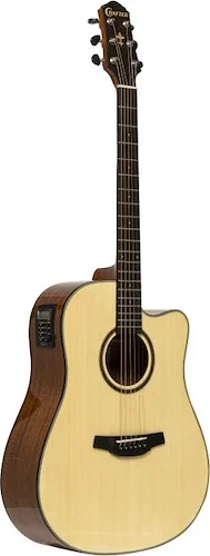 Silver series 250, dreadnought acoustic-electric guitar with cutaway