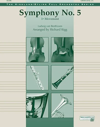 Symphony No. 5: 1st Movement