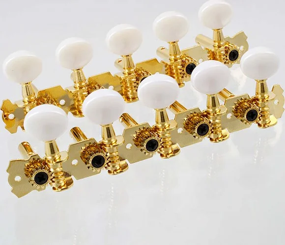 10 String 5x5 Strip Tuners for Cuatro or Bajo Quinto, Gold<br>