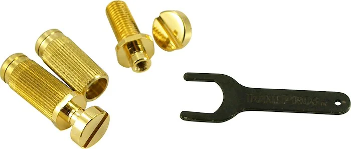TonePros US Thread Locking Tailpiece Stud Set For Gibson Gold