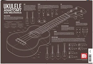 Ukulele Anatomy and Mechanics Wall Chart