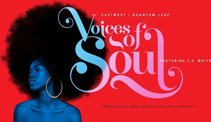 VOICES OF SOUL (Download) <br>