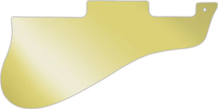 WD Custom Pickguard For Epiphone 1962-1970 Sorrento #10GD Gold Mirror