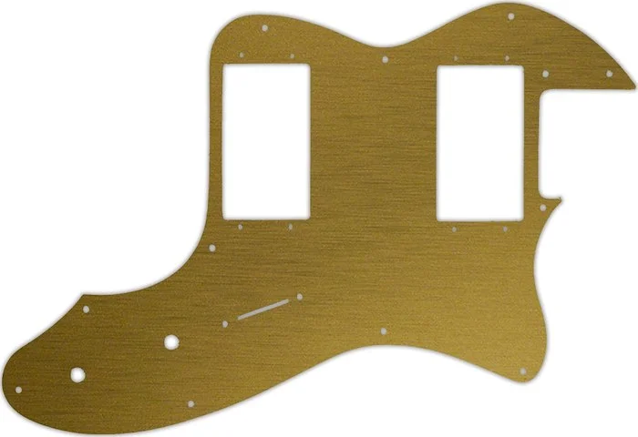 WD Custom Pickguard For Fender 1999 Made In Japan '72 Telecaster Thinline #14 Simulated Brushed Gold