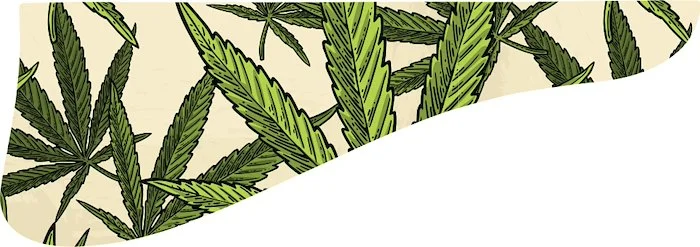 WD Custom Pickguard For Gibson L-5D #GC02 Cannabis Leaf Graphic