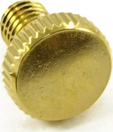 WD Fine Tuner Screw For WD Licensed Floyd Rose Bridges Gold