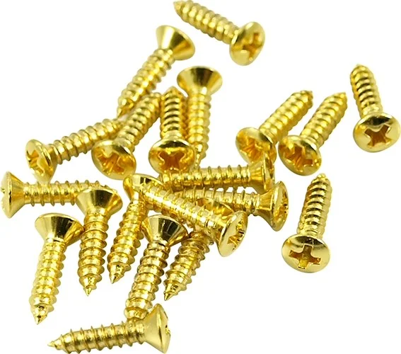 WD Screws For Fender Pickguards Phillips Head Gold Pack Of 50